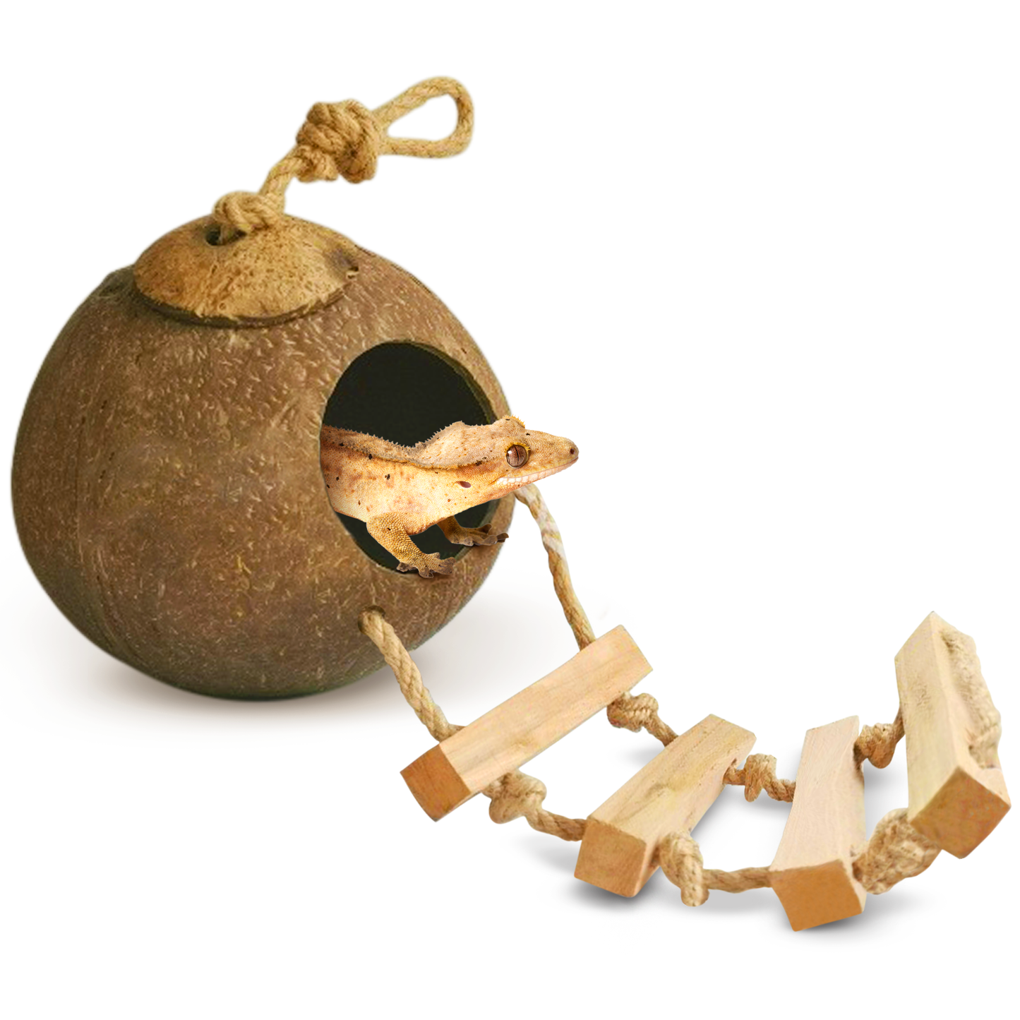 SunGrow - Coco Hut with Ladder