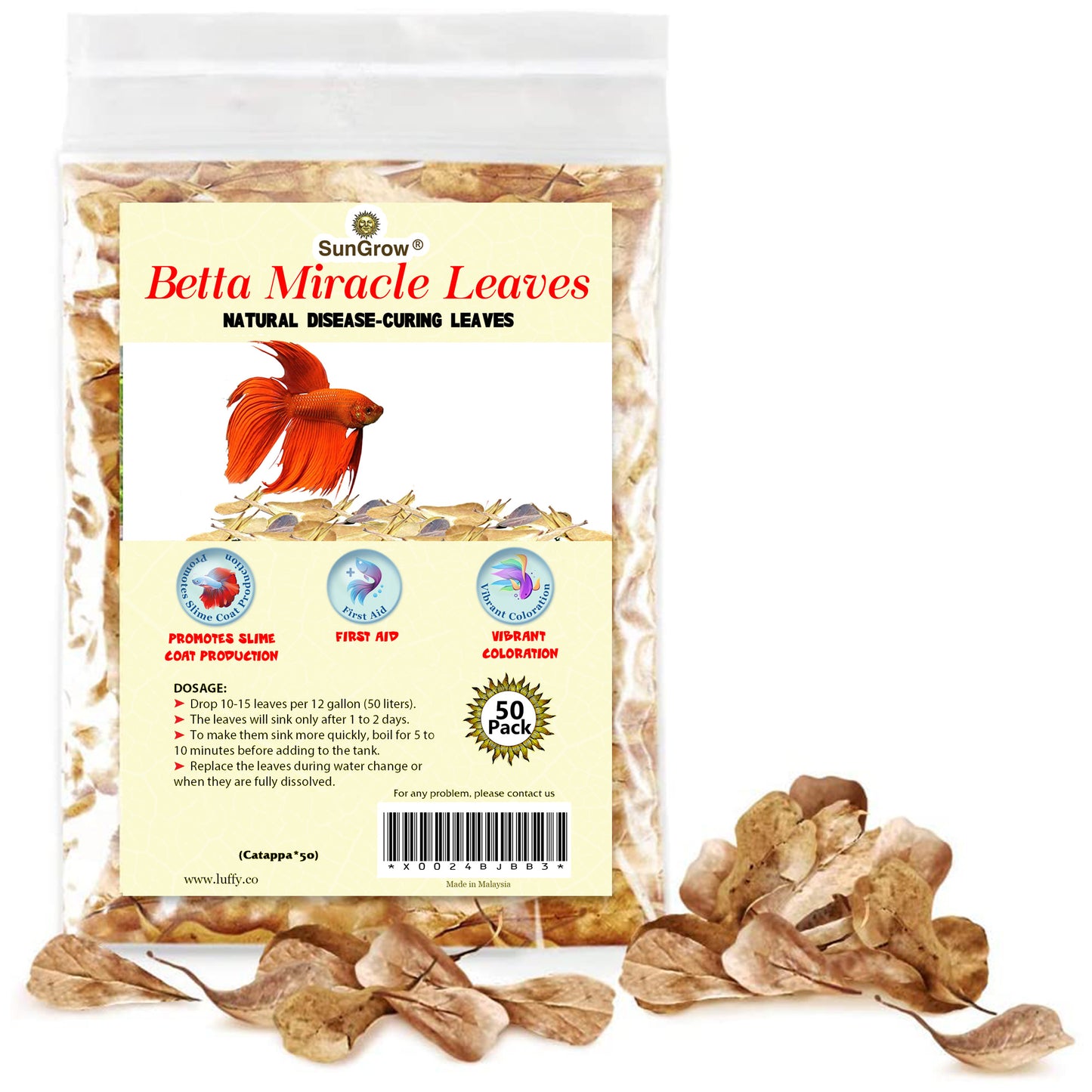 SunGrow - 50 pcs Catappa Indian Almond Leaves
