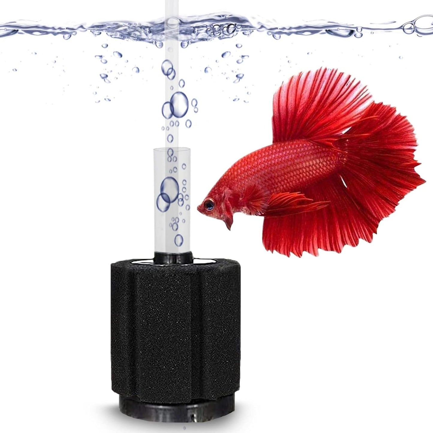 SunGrow 10-Gallon Betta Sponge Filter, Slow Current Fish Tank Filter, Perfect for Fry & Small Fish Aquarium