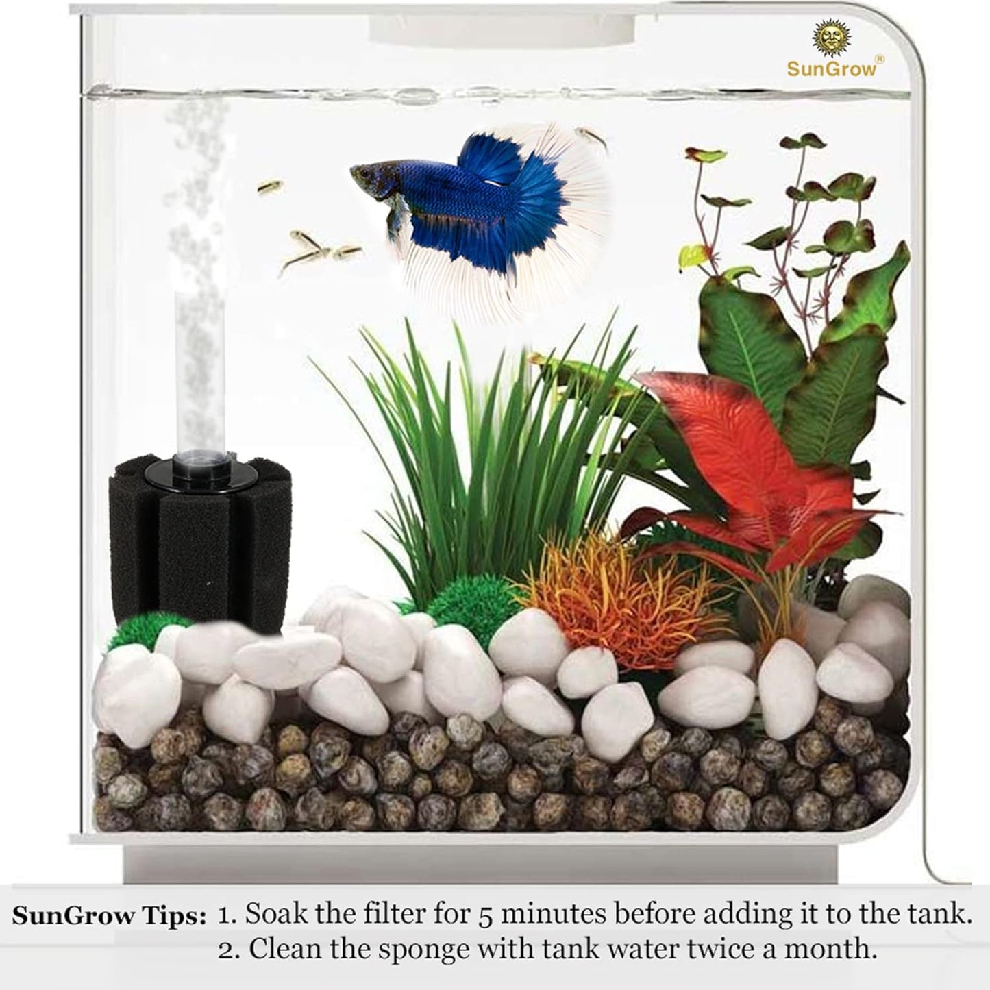 SunGrow 10-Gallon Betta Sponge Filter, Slow Current Fish Tank Filter, Perfect for Fry & Small Fish Aquarium