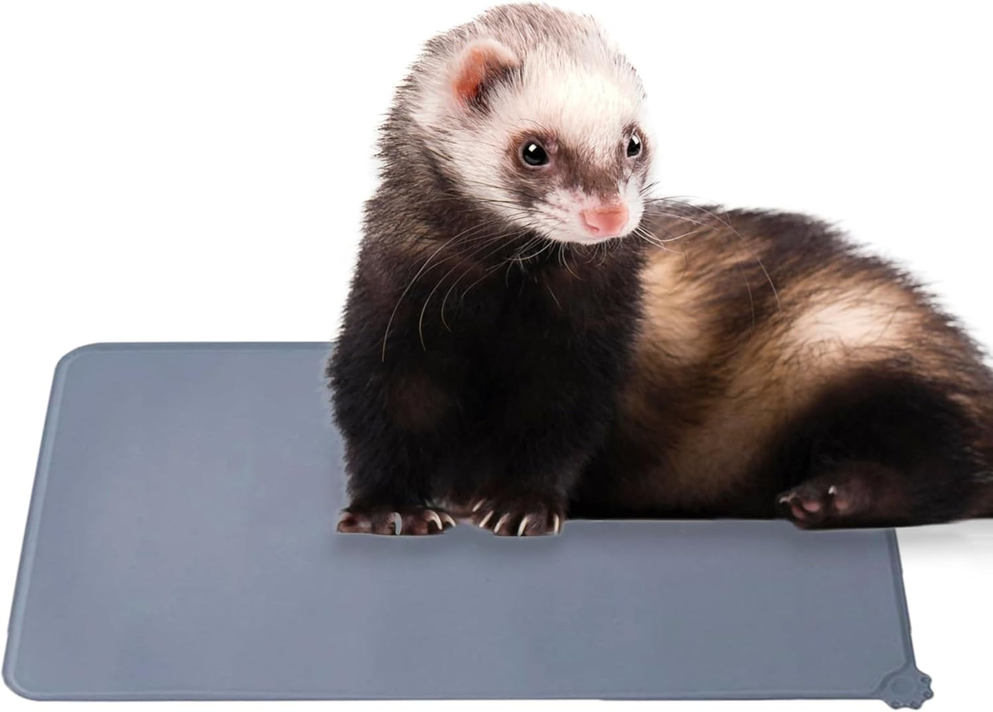 SunGrow Silicone Ferret Feeding Mat, with Raised Edges, No Skid Food Mat for Dogs, Cats, Rabbits and More