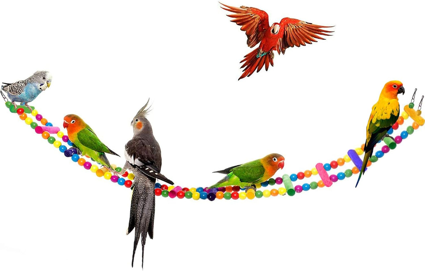 SunGrow Bird Ladder Bridge, 31x4 Inches, Raw Wood and Edible Dye, Suitable for Small to Medium Birds, 1 Piece