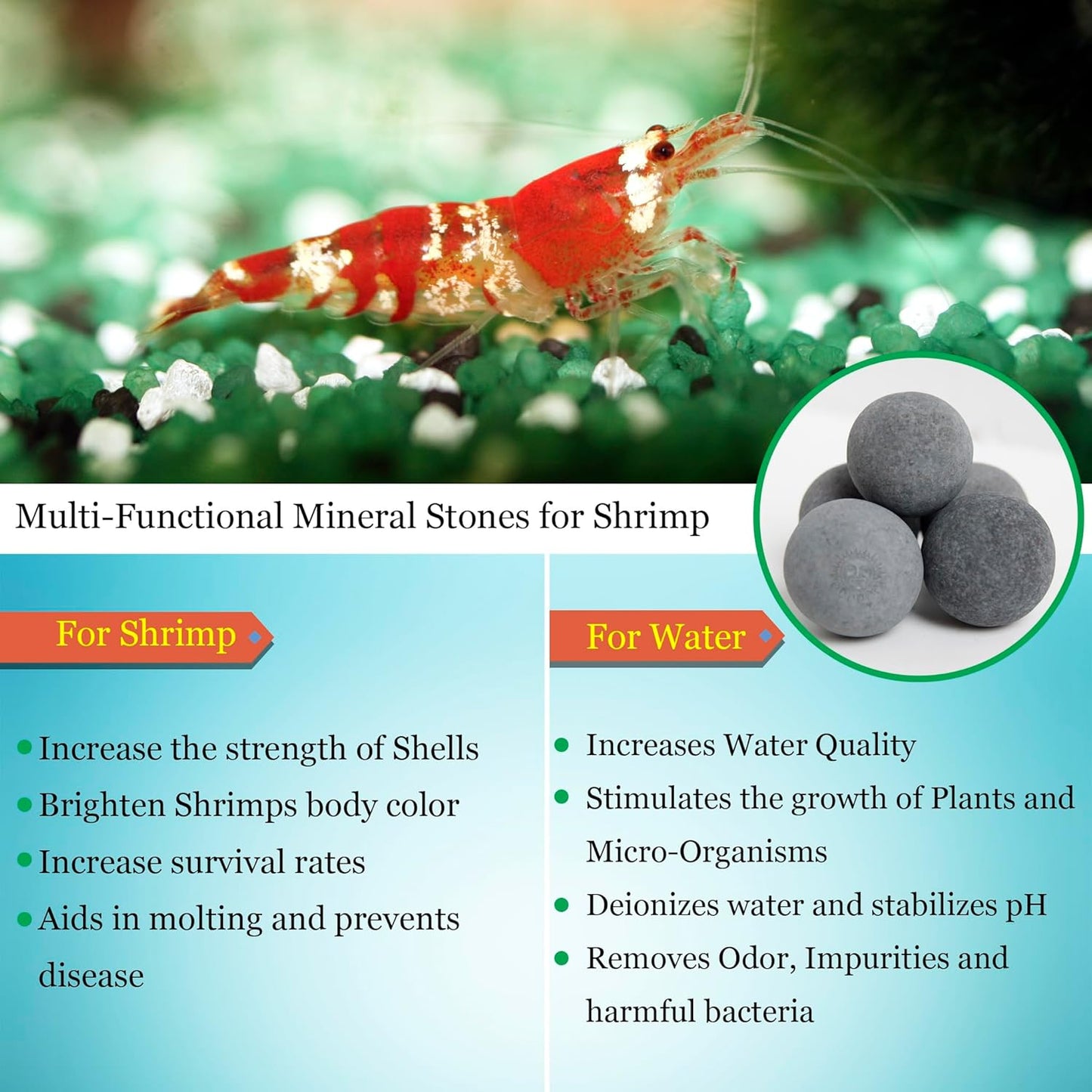 SunGrow Shrimp Balls, Calcium-Rich Balls, Successful Shedding, Increase Survival Rate, Impart Vibrance, Cool Décor with Wellness Benefits