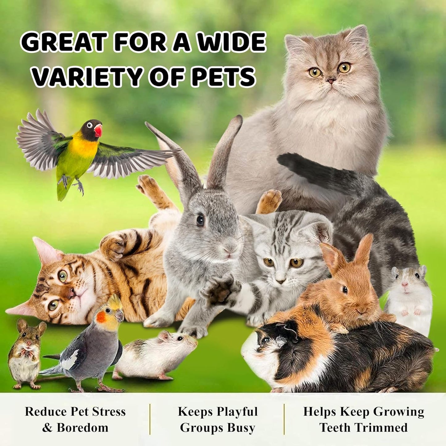 SunGrow 3 Pack Assorted Rabbit & Cat Chew Balls, Made from Seagrass, Chewable Teething Activity Toy for Pocket Pets, Healthy for Your Pet’s Gums & Teeth