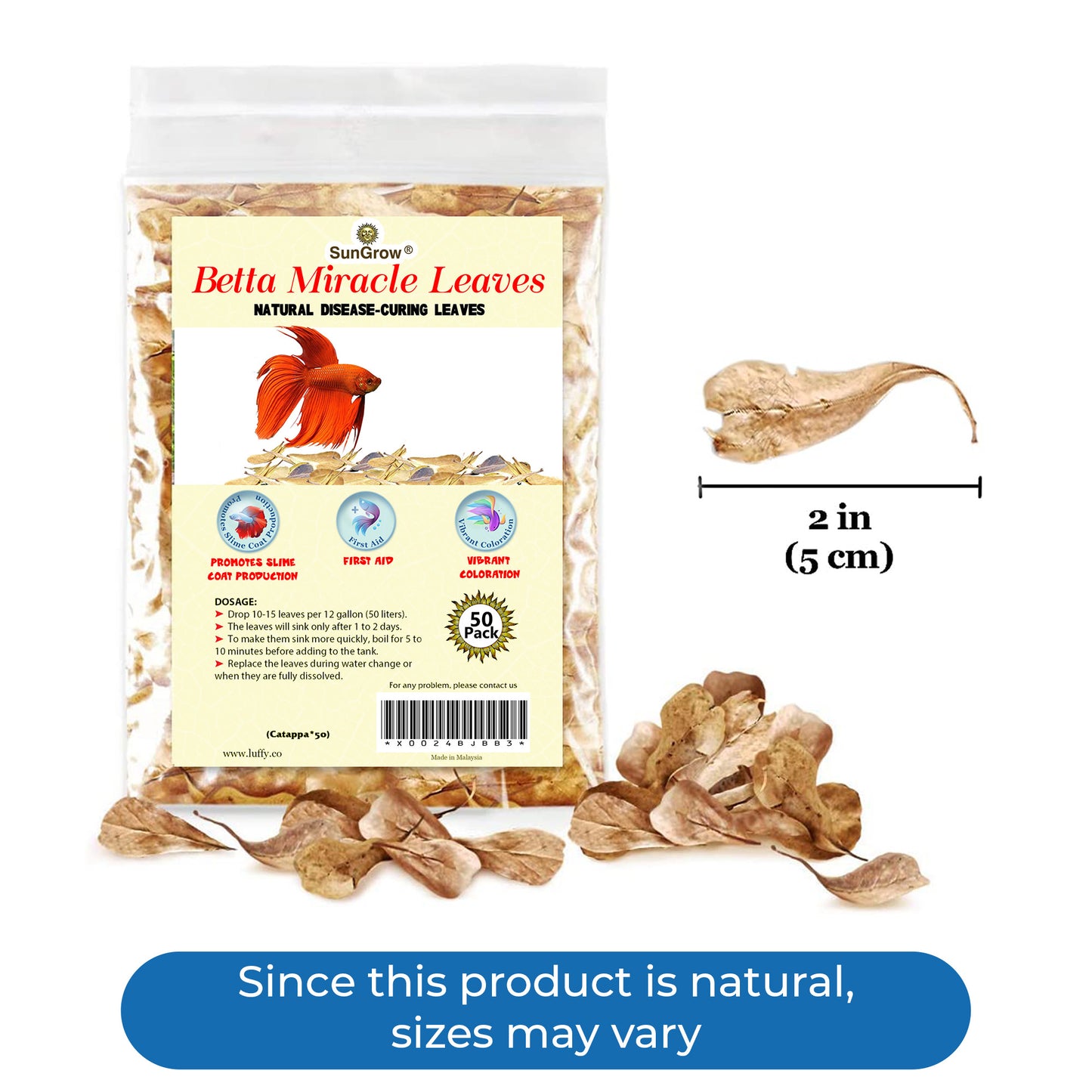 SunGrow - 50 pcs Catappa Indian Almond Leaves